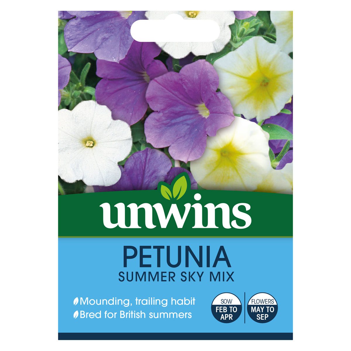 5051618032445 1 Petunia Summer Sky Seeds.jpg